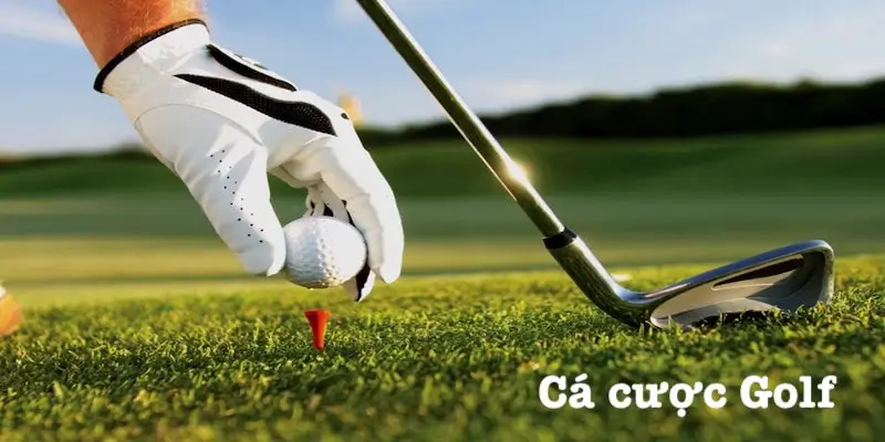 Cá Cược Golf Hi88 - Tìm Tiền Thưởng Từ Những Trận Đấu Hấp Dẫn