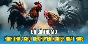 Đá Gà Thomo Hi88 - Trường Gà Lớn Nhất Đông Nam Á Có Gì Hot?