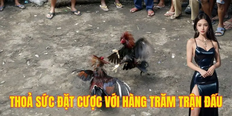 Hàng trăm trận đấu đỉnh cao đang đợi bạn thưởng thức