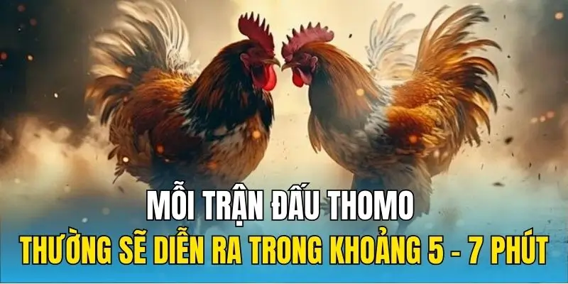 Mỗi trận đấu Thomo thường sẽ diễn ra trong khoảng 5 - 7 phút
