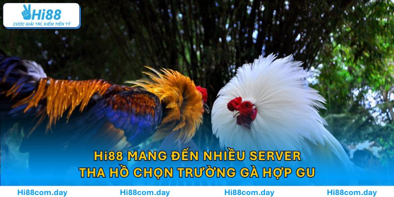 Hi88 mang đến nhiều server, tha hồ chọn trường gà hợp gu
