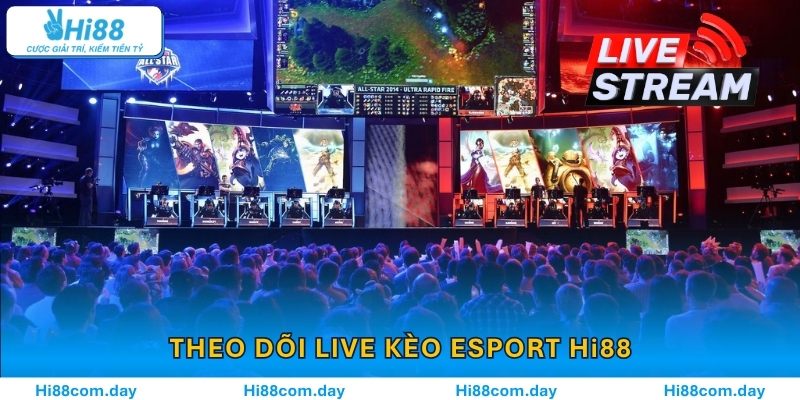 Người chơi theo dõi live kèo Esport Hi88 và đặt cược trực tiếp