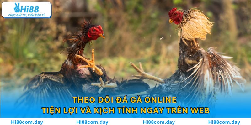 Theo dõi đá gà online tiện lợi và kịch tính ngay trên web